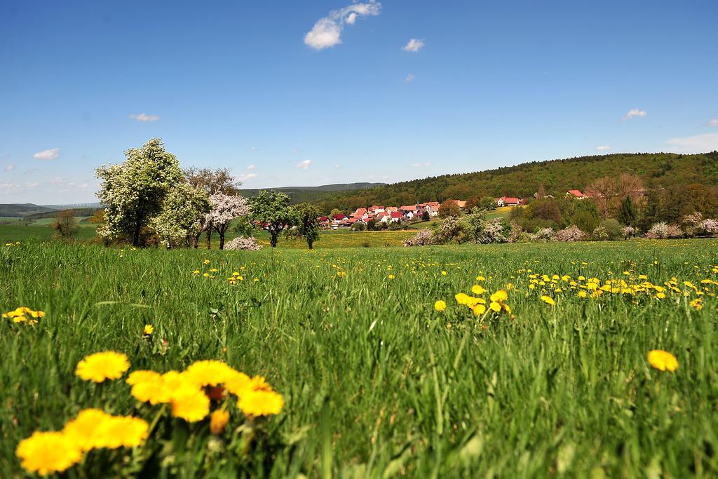 Landhotel Zur Gruenen Kutte Bernshausen Extérieur photo