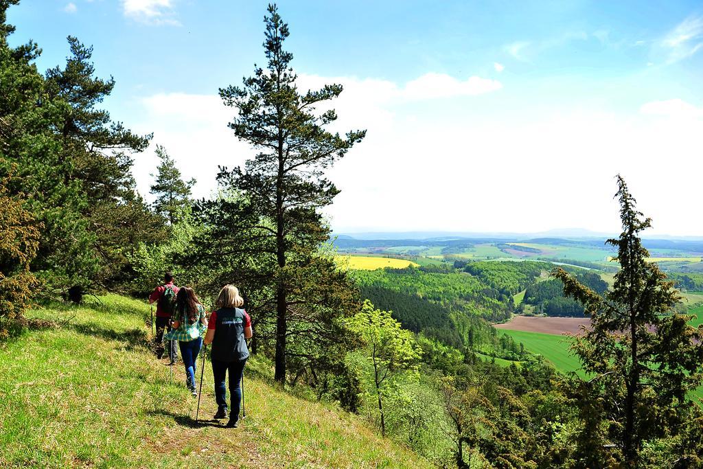 Landhotel Zur Gruenen Kutte Bernshausen Extérieur photo