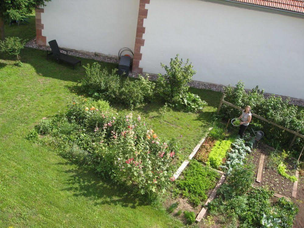 Landhotel Zur Gruenen Kutte Bernshausen Extérieur photo